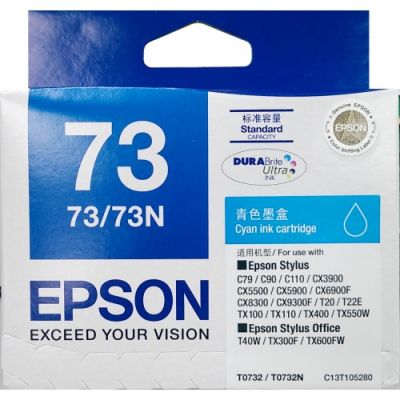 EPSON T105280 CYAN INK FOR T20/TX400 墨盒 [香港行貨] #6937942604772