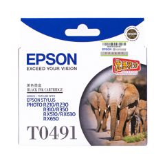 EPSON T049180 BK INK FOR 210/R310/RX510 墨盒 [香港行貨] #0010343603578