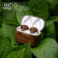 NAKAMICHI Wooden TWS Bluetooth Earphones 真無線藍牙耳機 #SD-TWS030 [香港行貨]